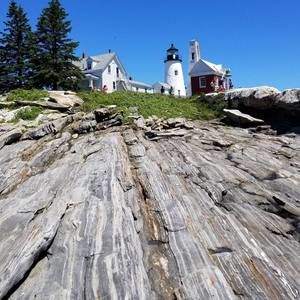 Meet your Posher, Anne